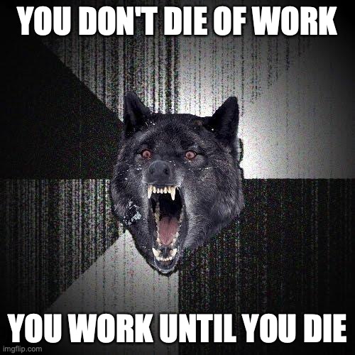 Insanity Wolf Meme | YOU DON'T DIE OF WORK; YOU WORK UNTIL YOU DIE | image tagged in memes,insanity wolf | made w/ Imgflip meme maker