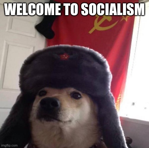 Russian Doge | WELCOME TO SOCIALISM | image tagged in russian doge | made w/ Imgflip meme maker