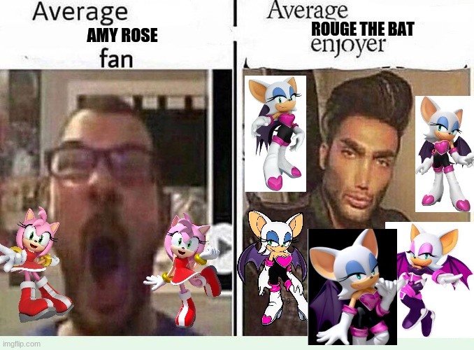rouge is best girl and you can't change my mind | ROUGE THE BAT; AMY ROSE | image tagged in average blank fan vs average blank enjoyer,sonic the hedgehog | made w/ Imgflip meme maker