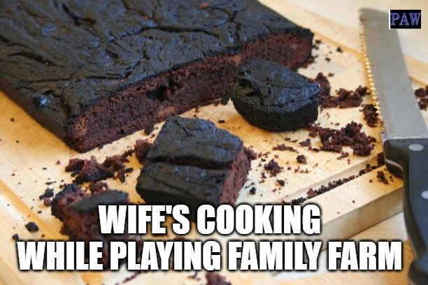 Family Farm | WIFE'S COOKING WHILE PLAYING FAMILY FARM | image tagged in cooking,game,burnt | made w/ Imgflip meme maker