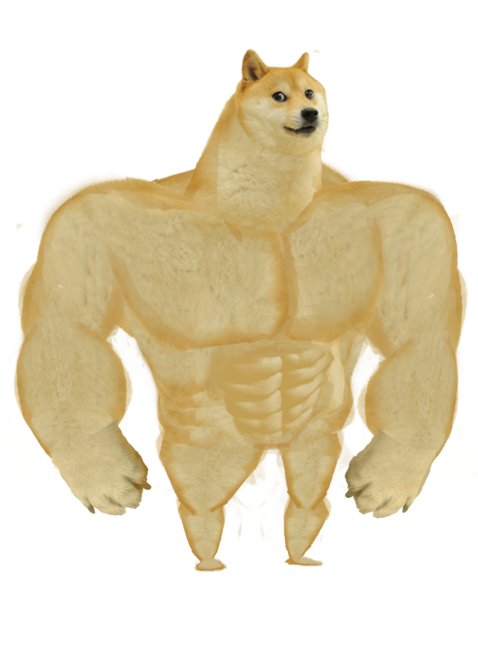 buff dog only Blank Meme Template