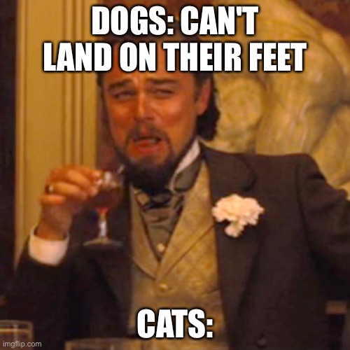 lmao | DOGS: CAN'T LAND ON THEIR FEET; CATS: | image tagged in memes,laughing leo | made w/ Imgflip meme maker