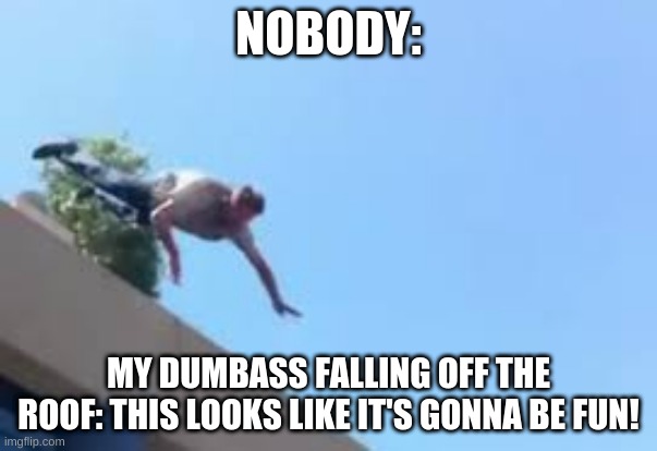 my dumbass | NOBODY:; MY DUMBASS FALLING OFF THE ROOF: THIS LOOKS LIKE IT'S GONNA BE FUN! | image tagged in memes | made w/ Imgflip meme maker