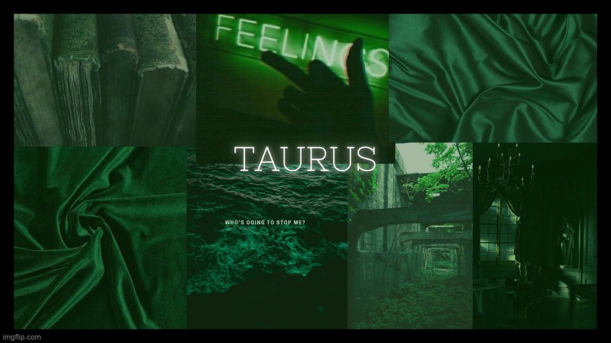 Taurus usually is an earth sign and I thought nature would work with it | made w/ Imgflip meme maker
