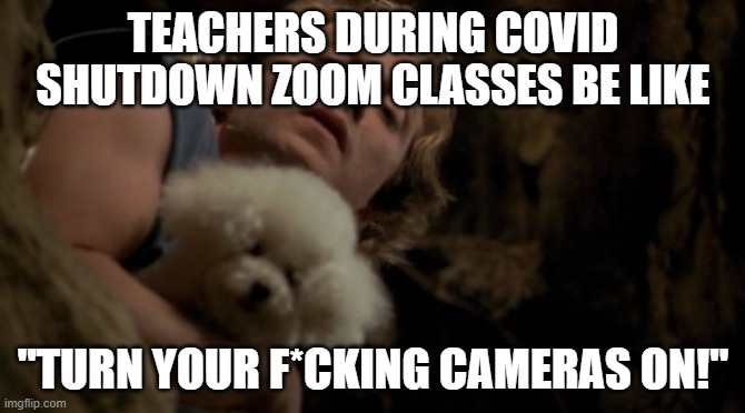 Silence of the lambs lotion | TEACHERS DURING COVID SHUTDOWN ZOOM CLASSES BE LIKE; "TURN YOUR F*CKING CAMERAS ON!" | image tagged in silence of the lambs lotion | made w/ Imgflip meme maker