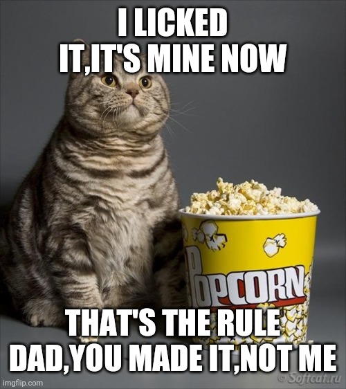 Cat eating popcorn | I LICKED IT,IT'S MINE NOW; THAT'S THE RULE DAD,YOU MADE IT,NOT ME | image tagged in cat eating popcorn | made w/ Imgflip meme maker