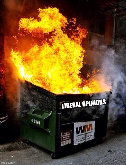 Dumpster Fire | LIBERAL OPINIONS | image tagged in dumpster fire | made w/ Imgflip meme maker