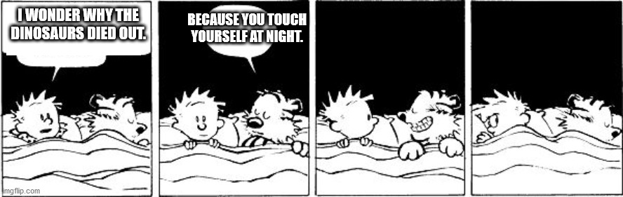 Bubble Burster (Calvin and Hobbes) | BECAUSE YOU TOUCH YOURSELF AT NIGHT. I WONDER WHY THE DINOSAURS DIED OUT. | image tagged in bubble burster calvin and hobbes | made w/ Imgflip meme maker