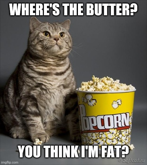 Cat eating popcorn | WHERE'S THE BUTTER? YOU THINK I'M FAT? | image tagged in cat eating popcorn | made w/ Imgflip meme maker