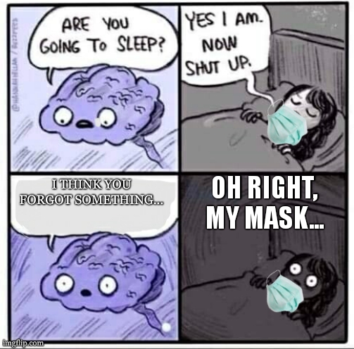 Are you going to sleep? | OH RIGHT, MY MASK... I THINK YOU FORGOT SOMETHING... | image tagged in are you going to sleep | made w/ Imgflip meme maker