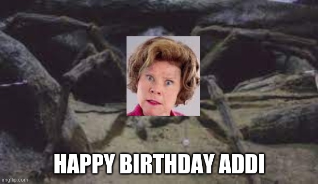 HAPPY BIRTHDAY ADDI | image tagged in harry potter,dolores umbridge,happy birthday | made w/ Imgflip meme maker