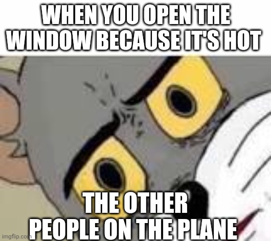 Not sure if this is a repost |  WHEN YOU OPEN THE WINDOW BECAUSE IT'S HOT; THE OTHER PEOPLE ON THE PLANE | image tagged in unsetteled tom | made w/ Imgflip meme maker