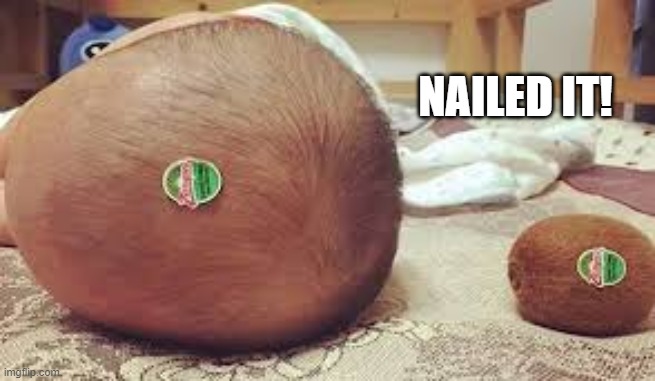 NAILED IT! | image tagged in nailed it | made w/ Imgflip meme maker