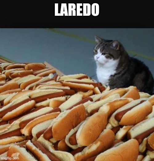 Cat hotdogs | LAREDO | image tagged in cat hotdogs | made w/ Imgflip meme maker