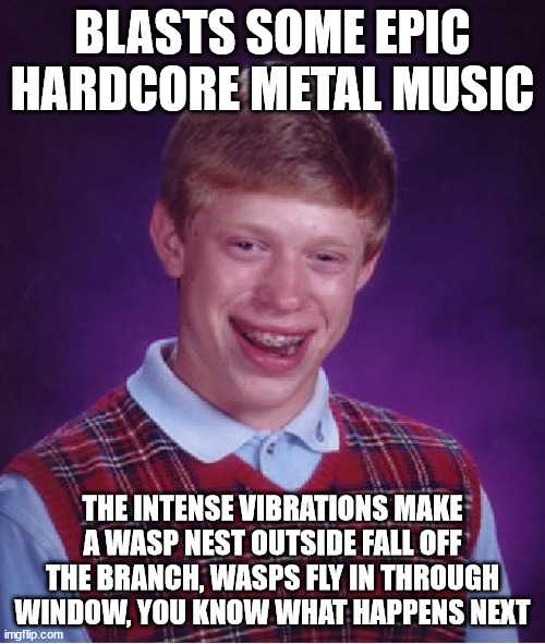 \m/ ^o^ \m/ | BLASTS SOME EPIC HARDCORE METAL MUSIC; THE INTENSE VIBRATIONS MAKE A WASP NEST OUTSIDE FALL OFF THE BRANCH, WASPS FLY IN THROUGH WINDOW, YOU KNOW WHAT HAPPENS NEXT | image tagged in memes,bad luck brian,epic,hardcore,metal,music | made w/ Imgflip meme maker
