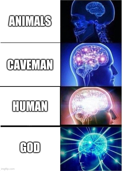 brain | ANIMALS; CAVEMAN; HUMAN; GOD | image tagged in memes,expanding brain | made w/ Imgflip meme maker