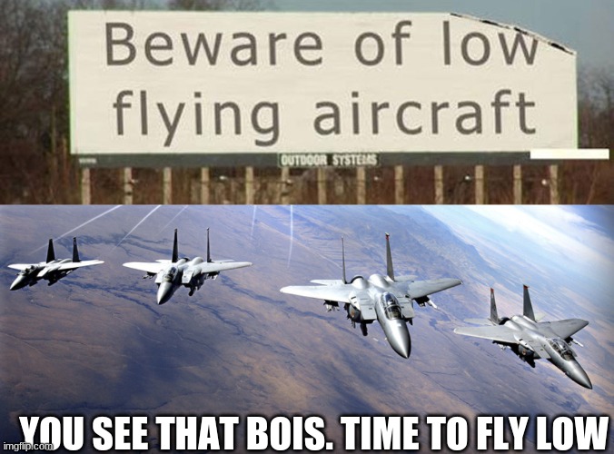 Look at that bois | YOU SEE THAT BOIS. TIME TO FLY LOW | image tagged in funny signs,plane,fighter jet,bois | made w/ Imgflip meme maker