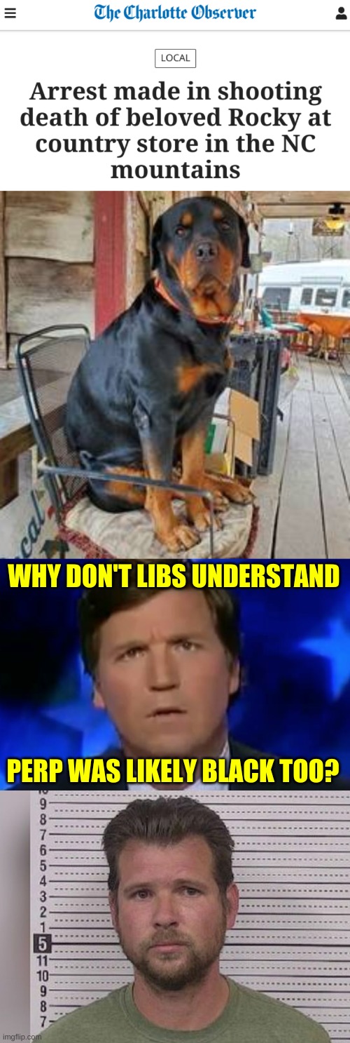 stats don't lie | WHY DON'T LIBS UNDERSTAND; PERP WAS LIKELY BLACK TOO? | image tagged in confused tucker carlson,conservative hypocrisy,racism,did you just assume my gender,animal rescue | made w/ Imgflip meme maker