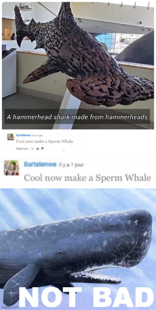 eyyyy | NOT BAD | image tagged in sperm whale,whale,hammer,shark,sex jokes,sperm | made w/ Imgflip meme maker