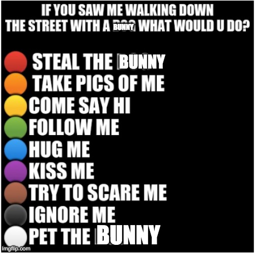 another one | BUNNY; BUNNY; BUNNY | image tagged in lol | made w/ Imgflip meme maker