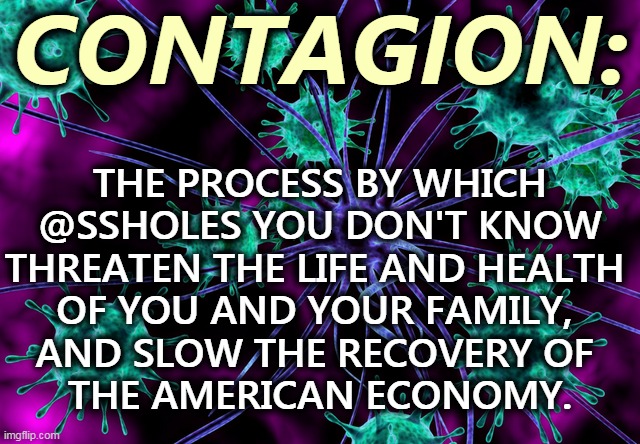 Hey, Ron DeSantis, this one's for you. | CONTAGION:; THE PROCESS BY WHICH @SSHOLES YOU DON'T KNOW THREATEN THE LIFE AND HEALTH 
OF YOU AND YOUR FAMILY, 
AND SLOW THE RECOVERY OF 
THE AMERICAN ECONOMY. | image tagged in contagion,fools,republicans,right wing,idiots | made w/ Imgflip meme maker