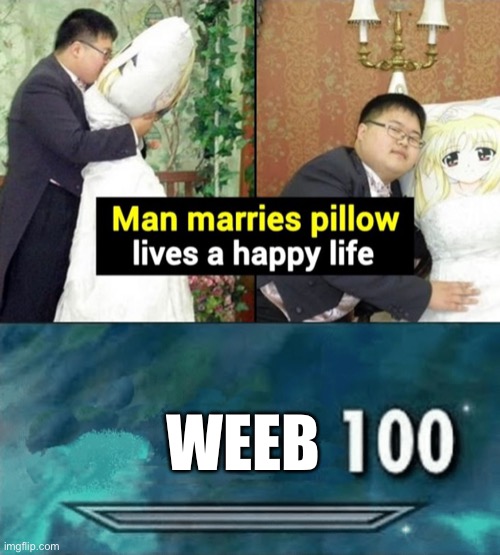 weeb on the loose | WEEB | image tagged in skyrim skill meme | made w/ Imgflip meme maker