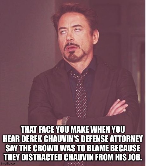 He really did claim that. | THAT FACE YOU MAKE WHEN YOU HEAR DEREK CHAUVIN'S DEFENSE ATTORNEY SAY THE CROWD WAS TO BLAME BECAUSE THEY DISTRACTED CHAUVIN FROM HIS JOB. | image tagged in memes,face you make robert downey jr | made w/ Imgflip meme maker