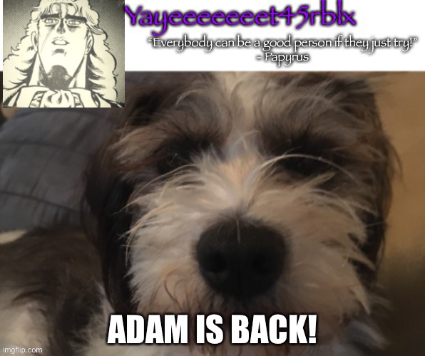 No joke. | ADAM IS BACK! | image tagged in yayeeeeeeet45rblx announcement | made w/ Imgflip meme maker
