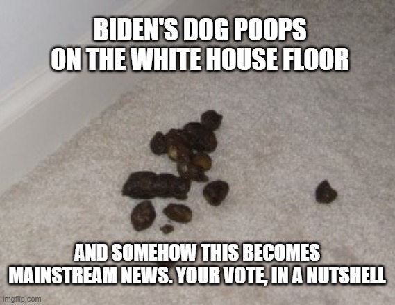 Crappy job, Mr. President | BIDEN'S DOG POOPS ON THE WHITE HOUSE FLOOR; AND SOMEHOW THIS BECOMES MAINSTREAM NEWS. YOUR VOTE, IN A NUTSHELL | image tagged in biden,harris,dog bite,msm,liberals,democrats | made w/ Imgflip meme maker