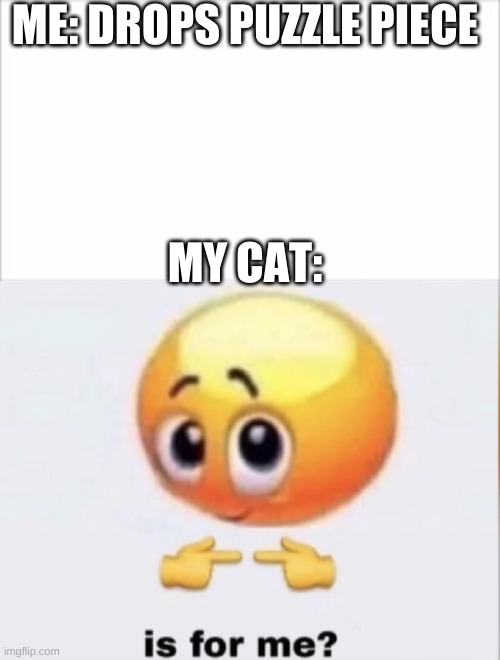seriously tho | ME: DROPS PUZZLE PIECE; MY CAT: | image tagged in is for me,cat | made w/ Imgflip meme maker
