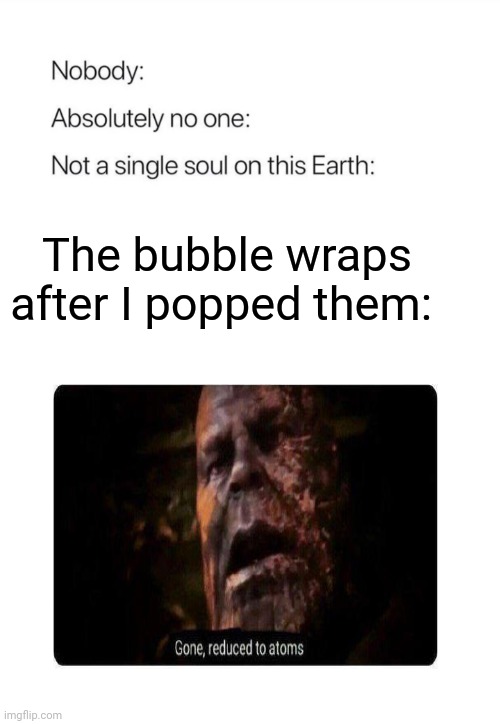 Bubble wraps | The bubble wraps after I popped them: | image tagged in nobody absolutely no one,bubble wrap,gone reduced to atoms,funny,blank white template,memes | made w/ Imgflip meme maker