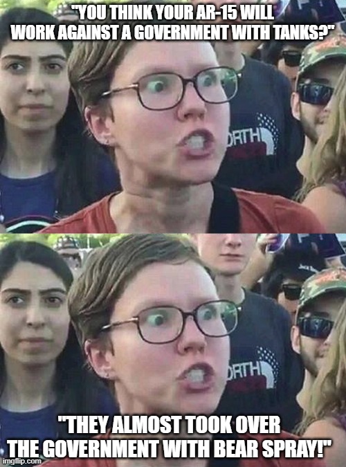 "YOU THINK YOUR AR-15 WILL WORK AGAINST A GOVERNMENT WITH TANKS?"; "THEY ALMOST TOOK OVER THE GOVERNMENT WITH BEAR SPRAY!" | image tagged in triggered liberal | made w/ Imgflip meme maker