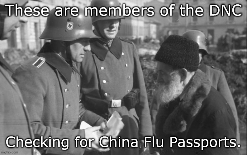 China Flu Passports | These are members of the DNC; Checking for China Flu Passports. | image tagged in nazis show papers,china flu,nazis | made w/ Imgflip meme maker
