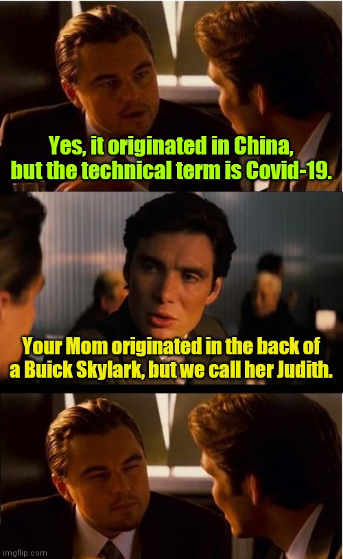 Everyone has their beginning. | Yes, it originated in China, but the technical term is Covid-19. Your Mom originated in the back of a Buick Skylark, but we call her Judith. | image tagged in memes,inception,funny | made w/ Imgflip meme maker