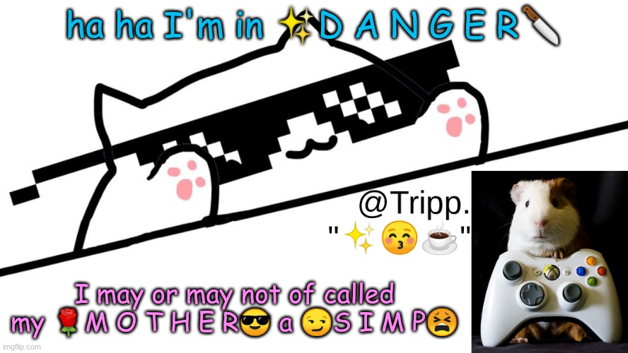 Ha ha I'm in danger. | ha ha I'm in ✨D A N G E R🔪; I may or may not of called my 🌹M O T H E R😎 a 😏S I M P😫 | image tagged in tripp 's very awesome temp d | made w/ Imgflip meme maker