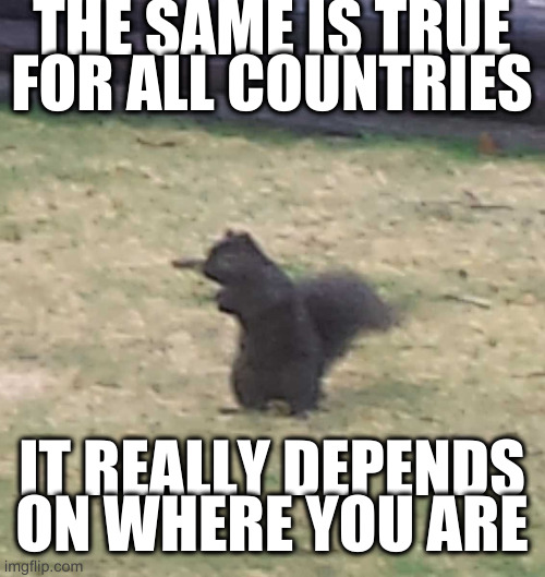 Squirrel! | THE SAME IS TRUE FOR ALL COUNTRIES; IT REALLY DEPENDS ON WHERE YOU ARE | image tagged in squirrel | made w/ Imgflip meme maker