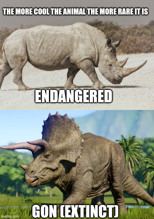 Dino=gon | THE MORE COOL THE ANIMAL THE MORE RARE IT IS; ENDANGERED; GON (EXTINCT) | image tagged in rhino,dino,funny,extinct | made w/ Imgflip meme maker