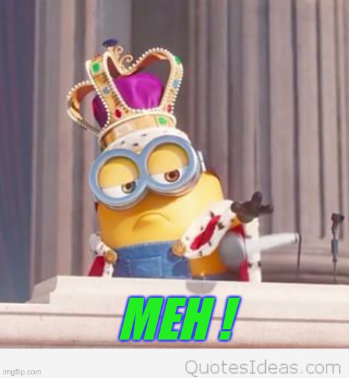 King Bob For President | MEH ! | image tagged in king bob for president | made w/ Imgflip meme maker