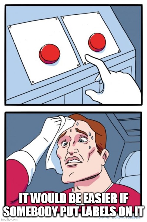 You have one job to put labels on the buttons | IT WOULD BE EASIER IF SOMEBODY PUT LABELS ON IT | image tagged in memes,two buttons | made w/ Imgflip meme maker