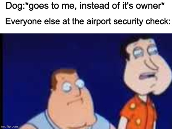 *seinfeld theme* |  Dog:*goes to me, instead of it's owner*; Everyone else at the airport security check: | image tagged in funny | made w/ Imgflip meme maker