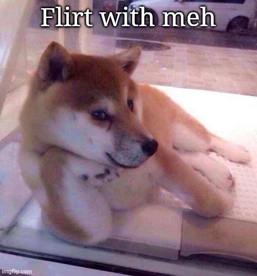 Flirting Doge | Flirt with meh | image tagged in flirting doge | made w/ Imgflip meme maker