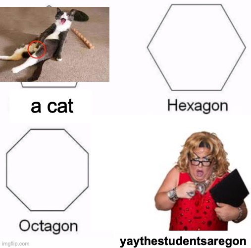 the person in right bottom corner is a teacher | a cat; yaythestudentsaregon | image tagged in memes,pentagon hexagon octagon | made w/ Imgflip meme maker