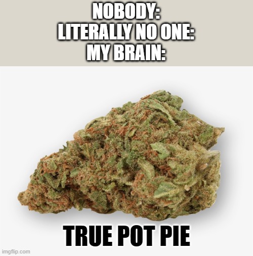 *intense headbanging against wall* | NOBODY:
LITERALLY NO ONE:
MY BRAIN:; TRUE POT PIE | image tagged in pot,memes,pie | made w/ Imgflip meme maker