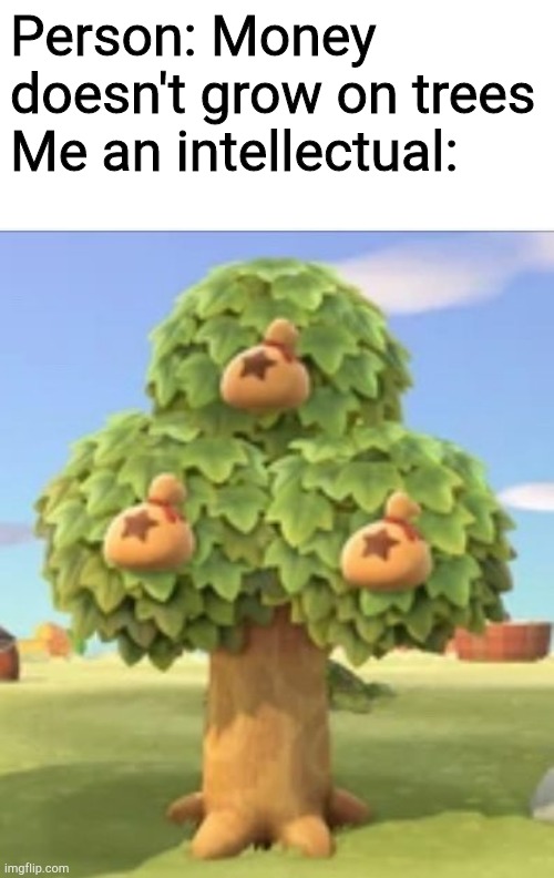  Person: Money doesn't grow on trees
Me an intellectual: | image tagged in money,funny memes,animal meme,lol,tree | made w/ Imgflip meme maker
