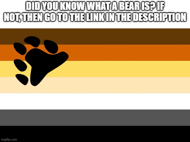 Just putting this out for anyone who didn't know | DID YOU KNOW WHAT A BEAR IS? IF NOT, THEN GO TO THE LINK IN THE DESCRIPTION | made w/ Imgflip meme maker