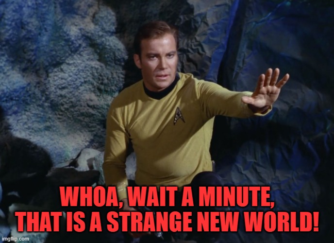 Kirk hand up | WHOA, WAIT A MINUTE, THAT IS A STRANGE NEW WORLD! | image tagged in kirk hand up | made w/ Imgflip meme maker
