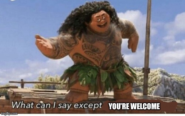 Moana maui what can I say except blank | YOU’RE WELCOME | image tagged in moana maui what can i say except blank | made w/ Imgflip meme maker