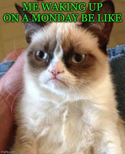 Sad Mondays | ME WAKING UP ON A MONDAY BE LIKE | image tagged in memes,grumpy cat | made w/ Imgflip meme maker