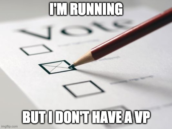 send applications in the comments section | I'M RUNNING; BUT I DON'T HAVE A VP | image tagged in voting ballot | made w/ Imgflip meme maker