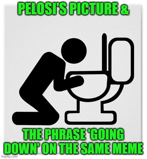 Barfing into the Toilet | PELOSI'S PICTURE & THE PHRASE 'GOING DOWN' ON THE SAME MEME | image tagged in barfing into the toilet | made w/ Imgflip meme maker